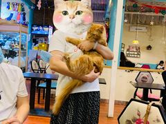 -猫小院猫主题咖啡厅(北锣店)
