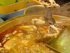 -铭记蛙小仙·活蛙畅享(CBD万达广场店)