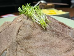 -巴倒烫陆派火锅山庄(南山总店)