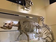 -国家自然博物馆