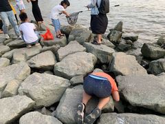 -宝安西湾红树林湿地公园