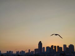 -星海广场