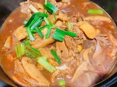 红焖温泉乡鹅-昌隆•家家鹅乡•海南菜老字号(琼海店)