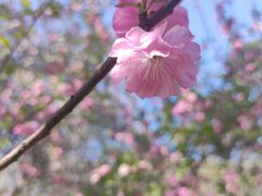 -山东师范大学(千佛山校区)