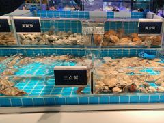-渔纬港海鲜自助餐厅(湖里万达店)