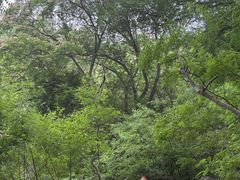 -封龙山风景区