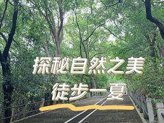 -上海佘山国家森林公园西佘山园