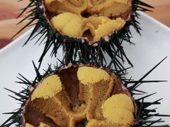 -海胆小馆(东北水饺·春柳店)