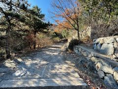 -北京鹫峰国家森林公园