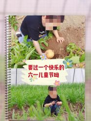 -麦粒鸟亲子游