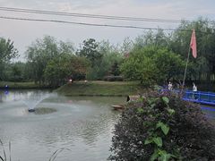 -大队长大灶鹅