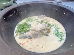 -鲜潭蒸汽石锅鱼(五道口购物中心店)