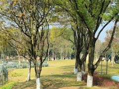 -宁波儿童公园(鄞州区)