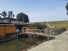 -水库河鲜村