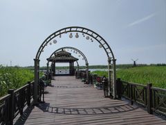 -宁波杭州湾国家湿地公园