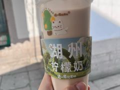 -猫的魔法密林(衣裳街店)