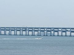 -星海湾跨海大桥