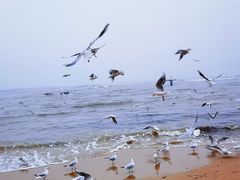 -老虎石海上公园