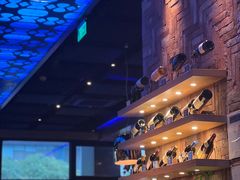 -bluefrog蓝蛙(皇庭广场店)