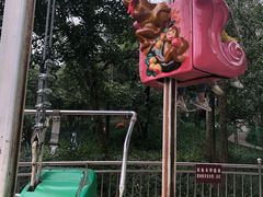 -杭州少年儿童公园