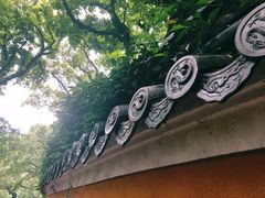 -普陀山风景名胜区-法雨禅寺
