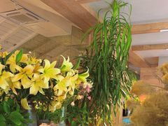 -春暖花开(西溪店)