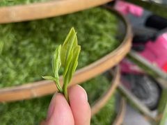 -华祥苑茶馆•国缤茶小蓝罐(普罗旺斯店)