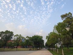 -汉江湾体育公园