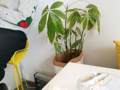 -五进制 Coffee Shop