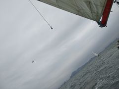 -鑫艋游艇海钓俱乐部