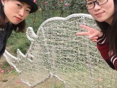 -秀丽东方
