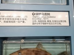-舟山博物馆