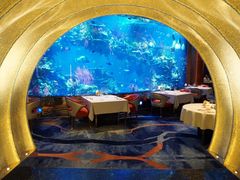 -迪拜帆船酒店海底餐厅