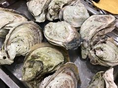 -蚝专家(北滘店)