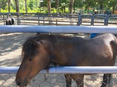 -长白岛森林公园