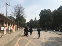 -延安杨家岭革命旧址