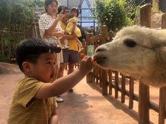 -杭州开元森泊度假乐园