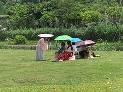 -广西壮族自治区药用植物园