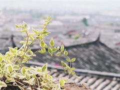 -丽江花间堂·隐泉院