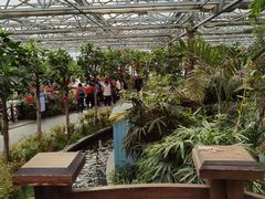 -南宫五洲植物乐园