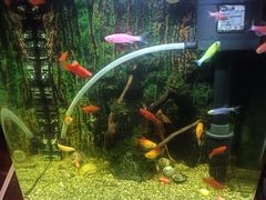 -若石足道SPA 连锁(丹东街店)