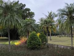 -南沙蒲洲花园