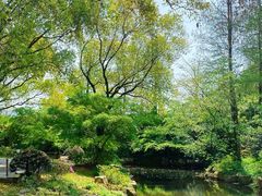 -上海共青森林公园