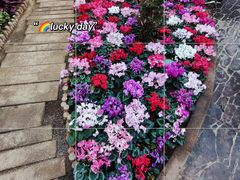 -石家庄市植物园