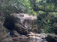 -呀诺达热带雨林
