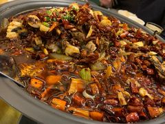 -锦尚阁烤鱼(望京新荟城店)