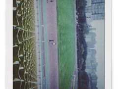 -四川大学(望江校区)