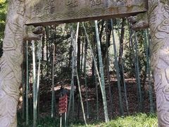-杭州黄龙洞