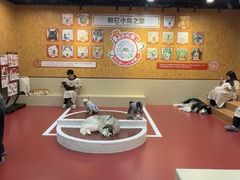 -和它·交个朋友·狗咖猫咖(爱琴海店)