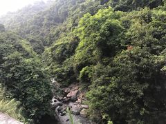 -银瓶嘴森林公园